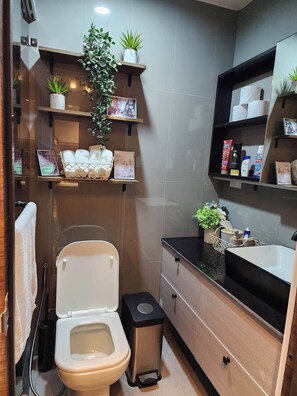 Haartrockner, Bidet, Handtücher, Seife