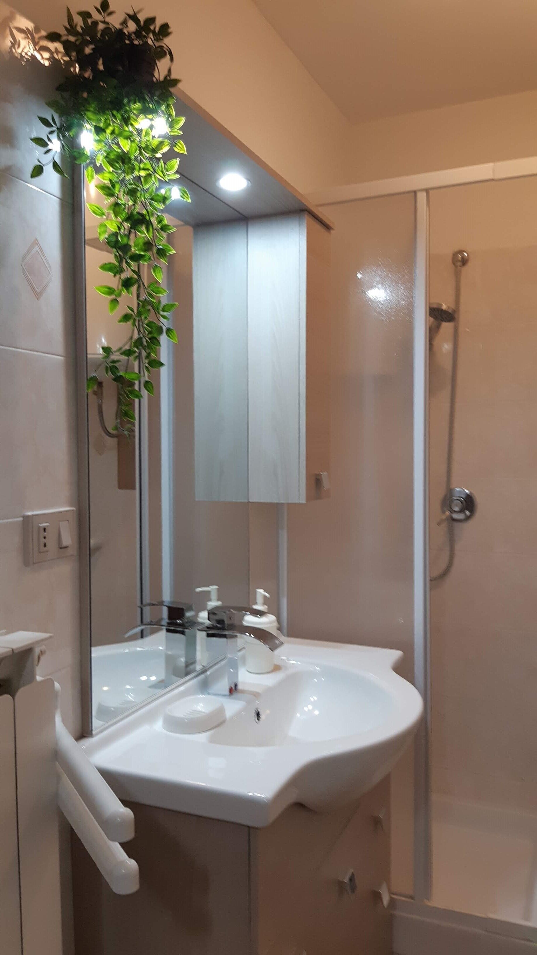 Un bagno con un lavandino bianco, uno specchio, una doccia e una pianta pensile.