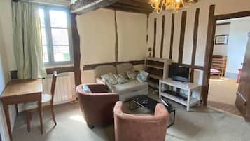 Télévision, lecteur de DVD, table de tennis de table