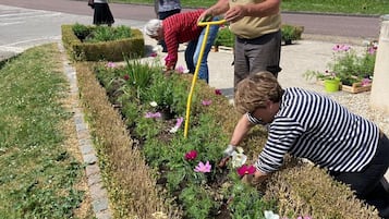 Área da propriedade