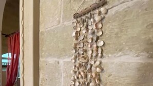 A wall with a decorative shell arrangement.