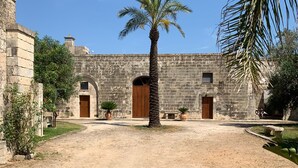 A courtyard with a palm tree, stone walls, and a building with wooden doors.
