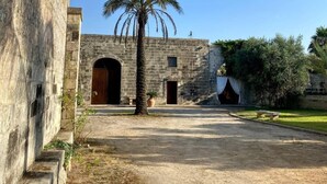 A courtyard with a palm tree, stone buildings, and a clear blue sky.