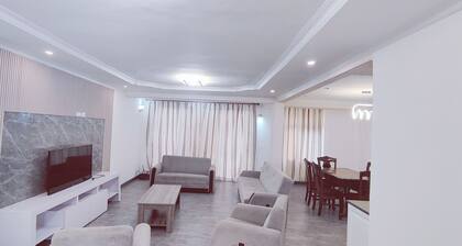 Luxurious Villa in Bole