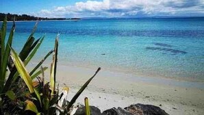 A beach with clear turquoise water, a sandy shore, and some vegetation in the foreground.