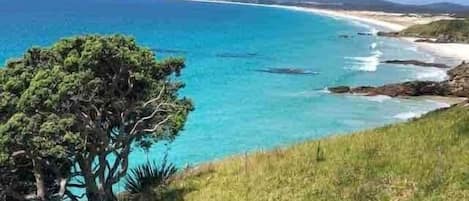 Paesaggio costiero con vista limpida sul mare, un albero e terreno erboso.