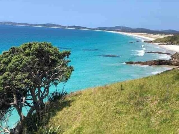 A coastal landscape with a clear view of the sea, a tree, and grassy terrain.
