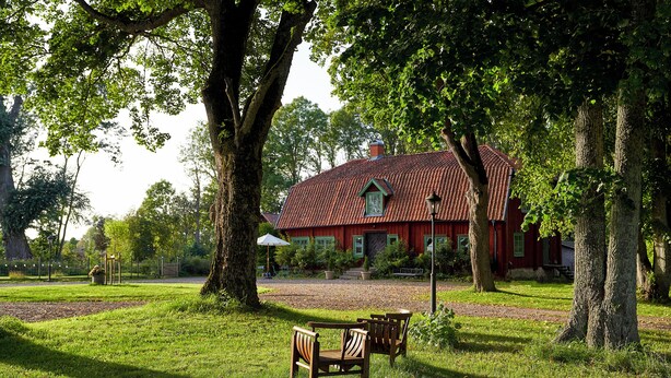 A red building with a tiled roof, surrounded by large trees and a grassy area with two wooden chairs. - Kungs Starby gård Bed & Breakfast (Vadstena)