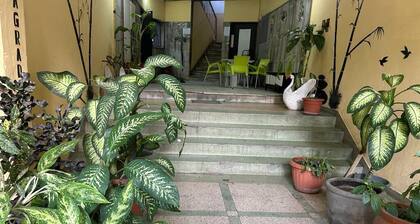 In the Center of the City, With easy access to the main atractive places.