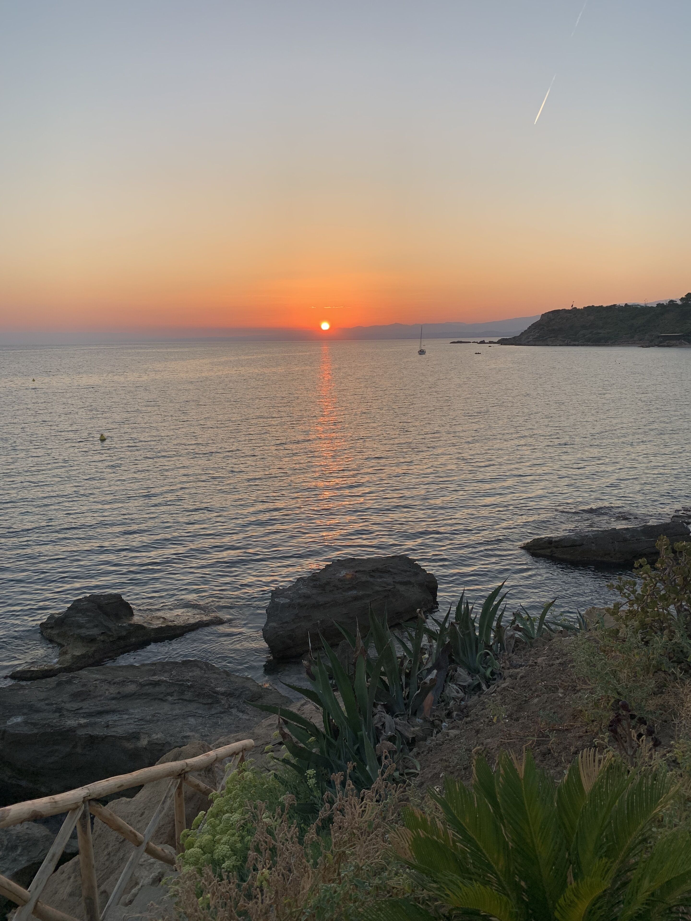 A sunset over a calm sea with rocks and vegetation in the foreground.