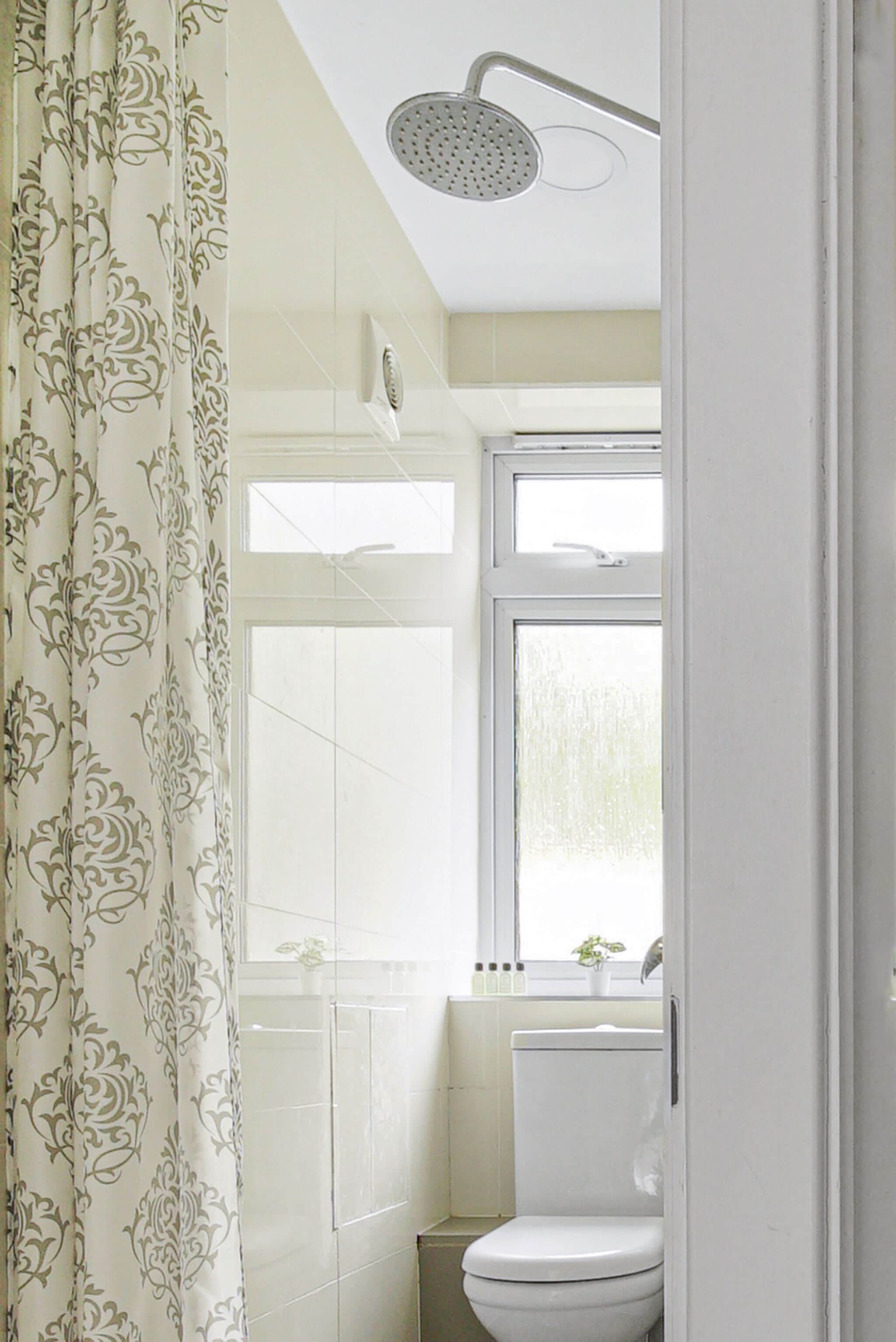Une salle de bain avec douche, toilettes et fenêtre.