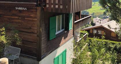 In the heart of Adelboden| free parking | 5Min Walk To Audi FIS Ski World Cup
