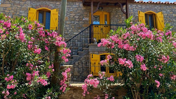 A stone building with yellow doors and shutters, a staircase, and pink flowering plants in the foreground. - Ilios Gokceada (Gökçeada)