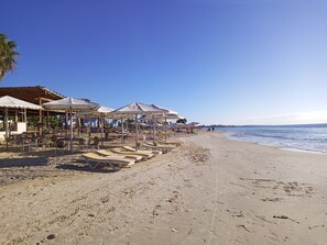 Une plage avec des parasols et des chaises longues, un ciel dégagé et l’océan.