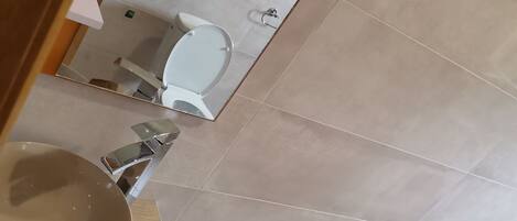 A bathroom with a sink, mirror, and toilet.