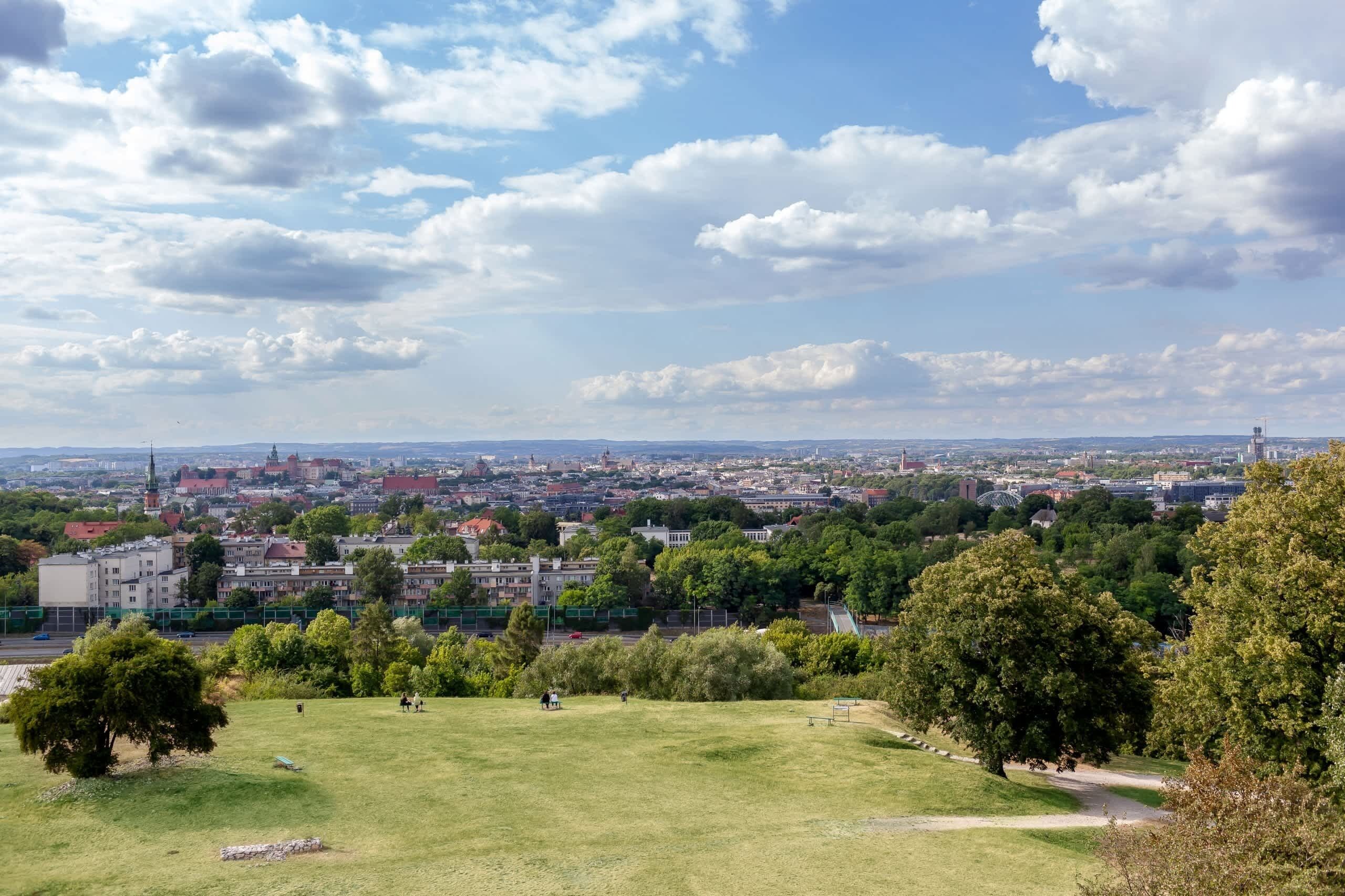 A panoramic view of a cityscape with a park in the foreground.