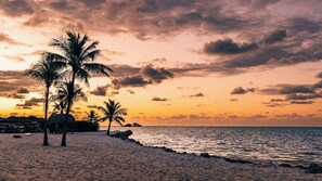 A beach with palm trees and a sunset.