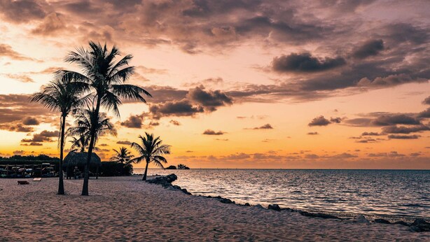 A beach with palm trees and a sunset.