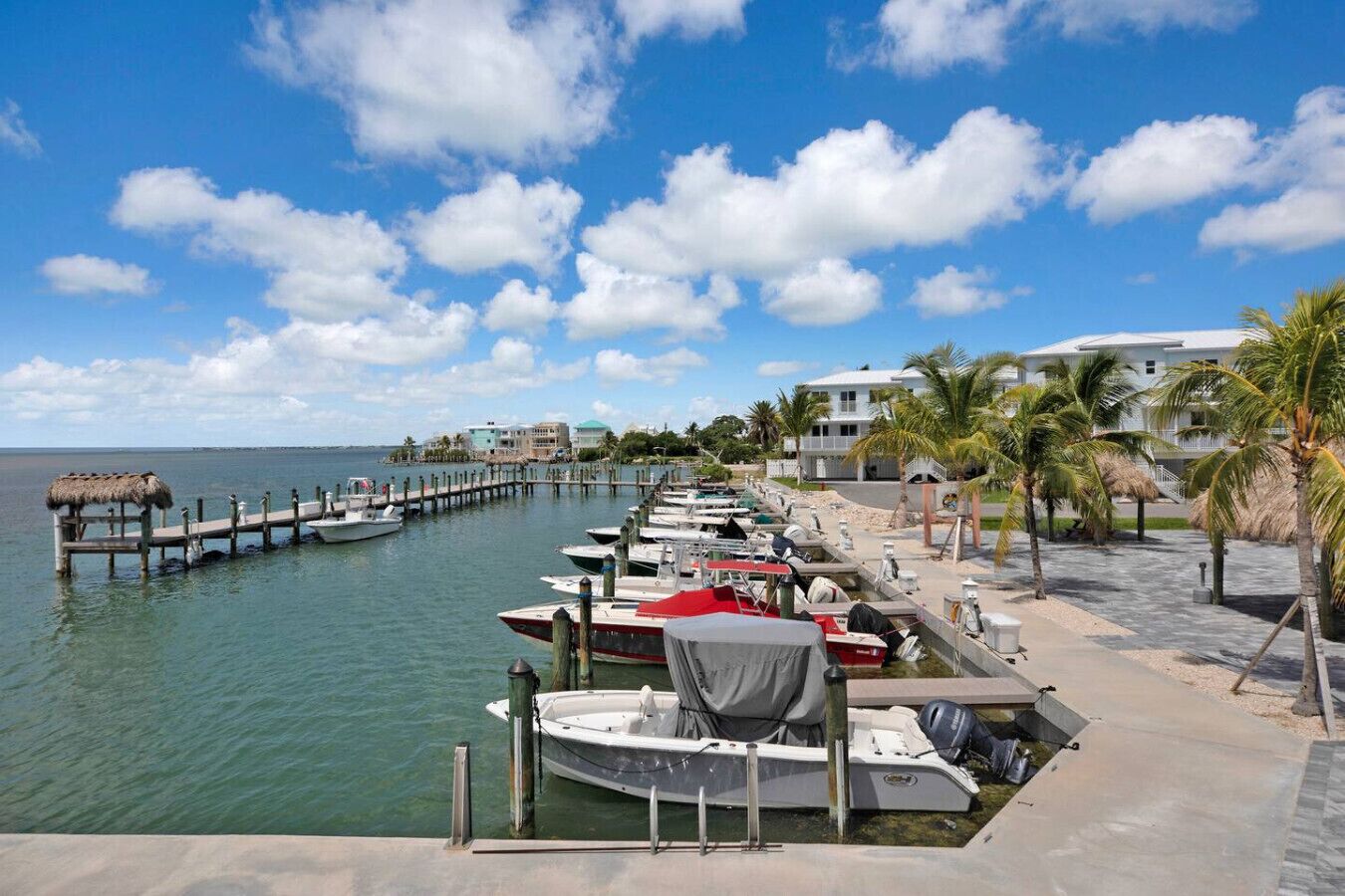 A marina with boats docked, a pier extending into the water, and buildings with palm trees in the background.