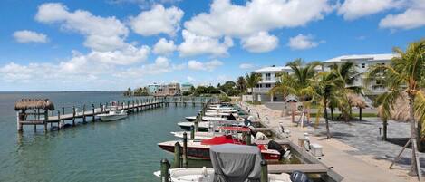 A marina with boats docked, a pier extending into the water, and buildings with palm trees in the background.