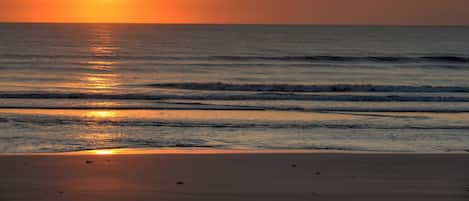 Ocean Walk Resort - Oceanfront 1 Bedroom