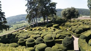 A meticulously landscaped garden with geometric topiary arrangements and a pathway. - Duplex Dans le Centre Ville de Sarlat-la-canéda (Sarlat-la-Canéda)