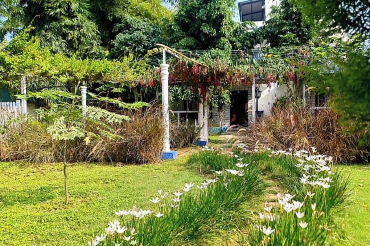Un sentier de jardin mène à un bâtiment surmonté d’une pergola recouverte de plantes grimpantes à fleurs rouges.