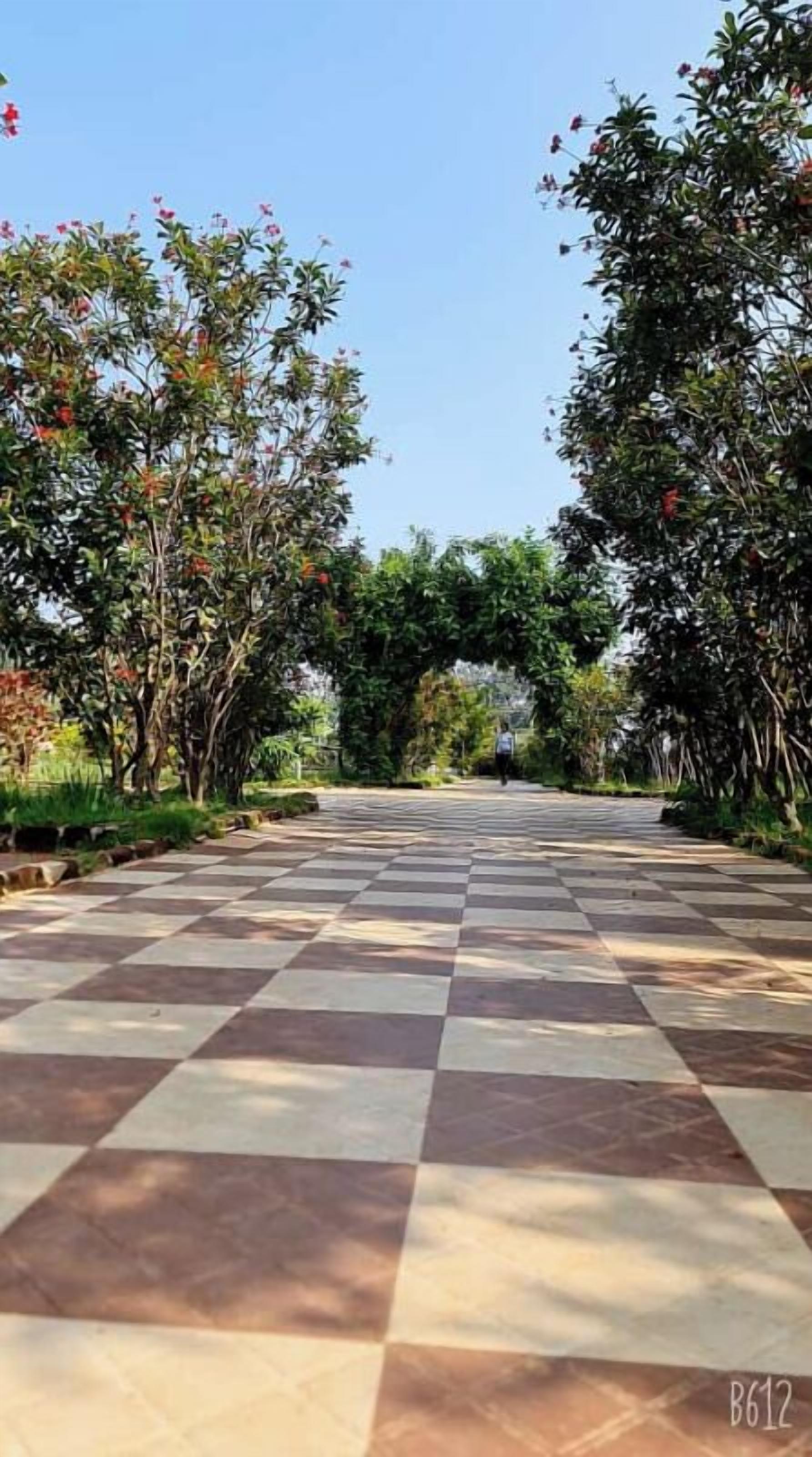 Um caminho quadriculado que serpenteia por um jardim, com árvores e arbustos de ambos os lados.