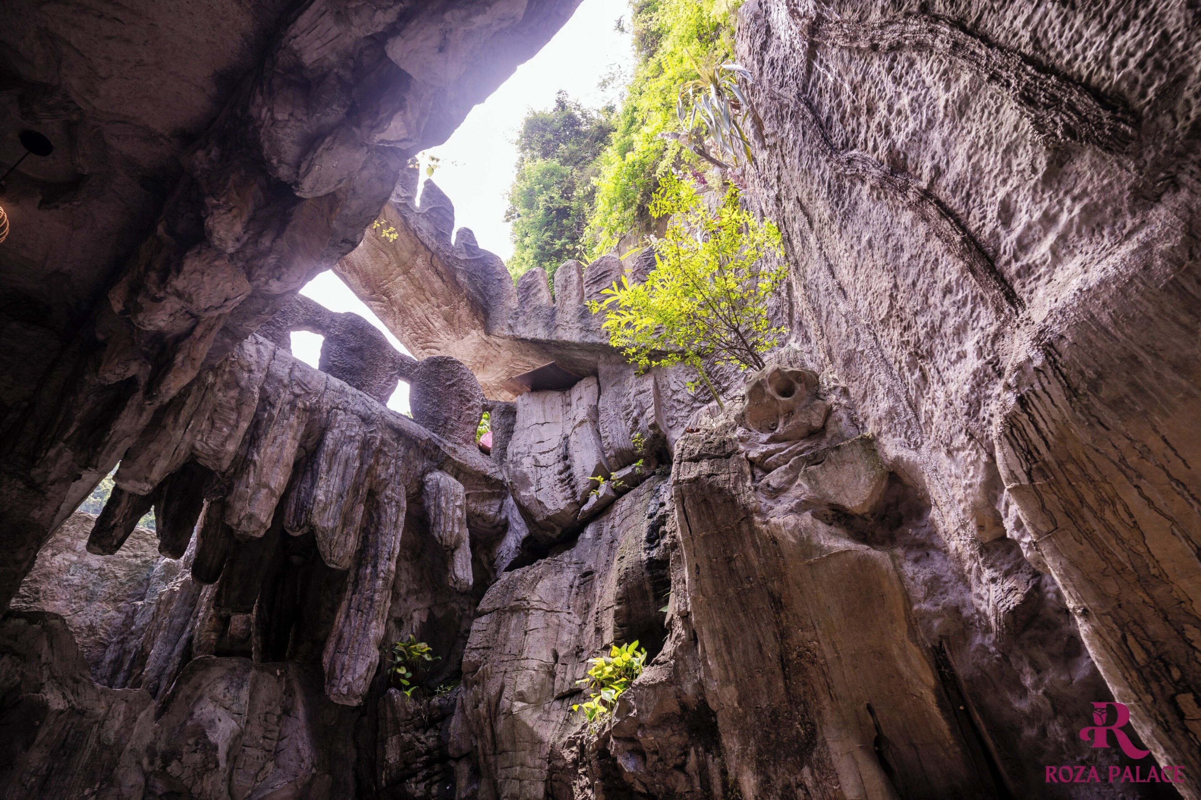 A cave with stalactites and stalagmites, natural rock formations, and a view of greenery outside.