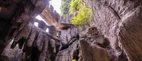 Una cueva con estalactitas y estalagmitas, formaciones rocosas naturales y vistas a la vegetación circundante.