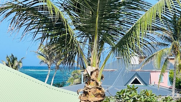 A beach view with a palm tree in the foreground, a house with a sloped roof, and the ocean in the background.