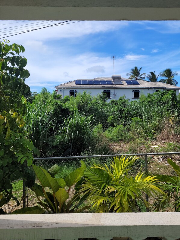 Surrounded by lush greenery, this eco-friendly home features a sloped roof with solar panels.