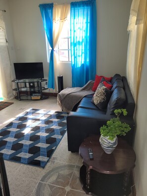 Relax in this stylish living room with a sofa, coffee table, and TV, surrounded by a patterned rug and greenery.