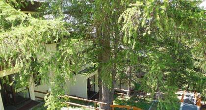 Paradiski proche des pistes plan peisey