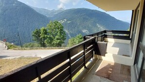Ein Balkon mit Blick auf Berge, einem Hollergeländer und einer Glastür.