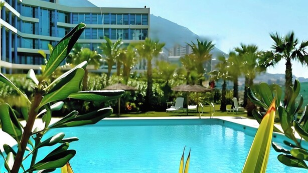 A swimming pool surrounded by palm trees and lounge chairs, with a modern building in the background.