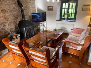 Smart TV, fireplace, books