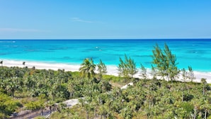 Una playa con aguas turquesas cristalinas, arena blanca y densas palmeras.