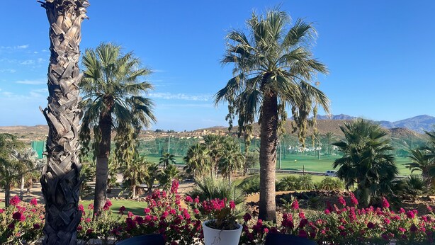 Vista de un campo de golf con palmeras y flores rosadas en primer plano, y un paisaje montañoso al fondo.
