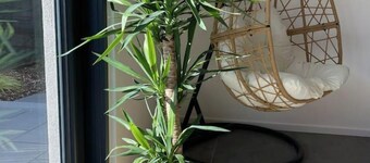 Magnifique Villa Avec Jacuzzi