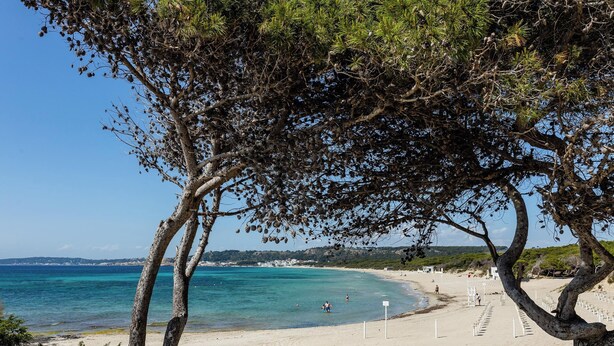 A beach with clear turquoise water, sandy shore, and a few people in the distance.