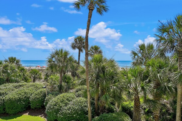 A tropical garden with palm trees and a view of the beach.