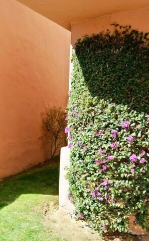 Surround yourself with lush greenery in this serene urban oasis.