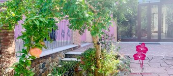 One Bedroom Apartment surrounded by greenery a stone's throw from the historic center.