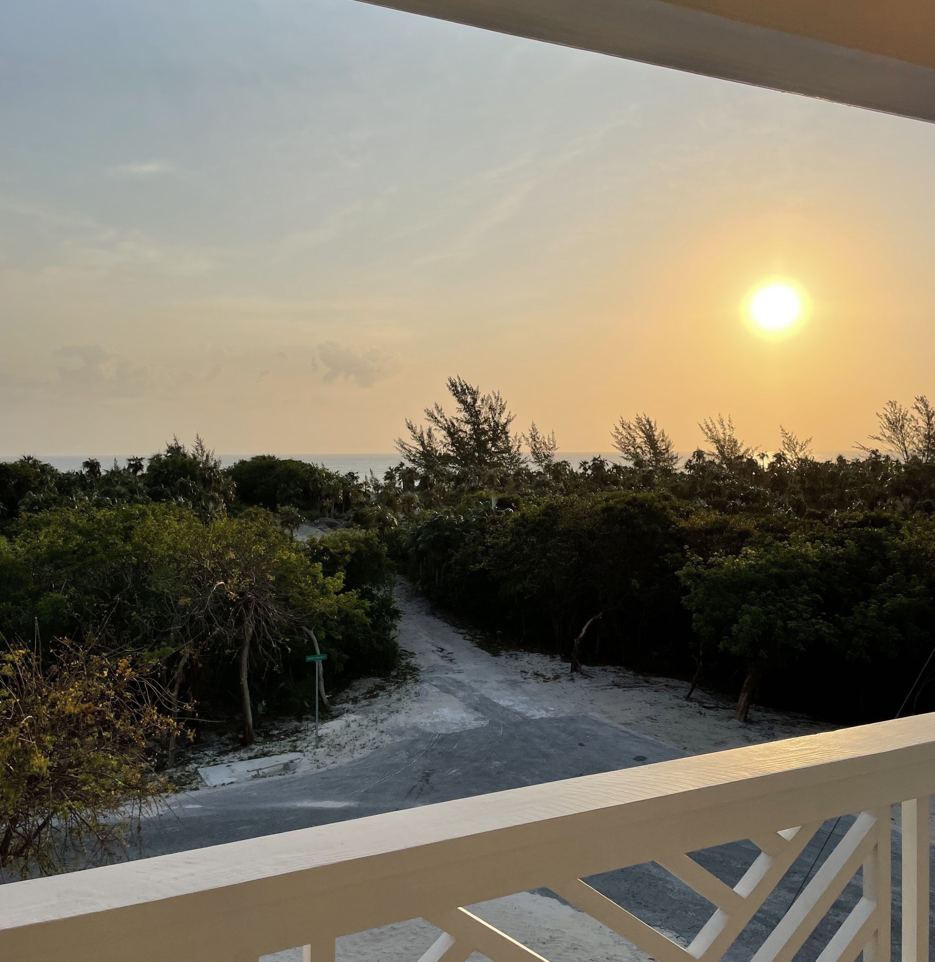 A balcony with a view of a dirt path leading through a wooded area towards the ocean.