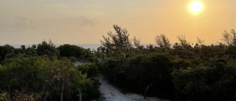 A balcony with a view of a dirt path leading through a wooded area towards the ocean.