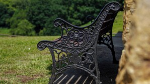 Un banco con ornamentación metálica elaborada, situado en un sendero de hormigón con césped y árboles al fondo.