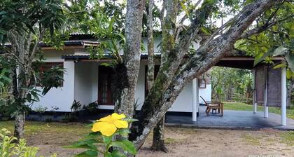 House Mango Terrace<br>