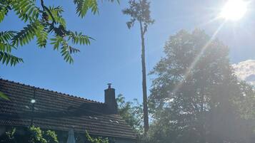 Àrea exterior de l'allotjament