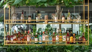 A bar area with multiple shelves of liquor bottles, a hanging plant, and a gold-framed structure. - INVENTIST Hotel Sports Academy (Çekmeköy)
